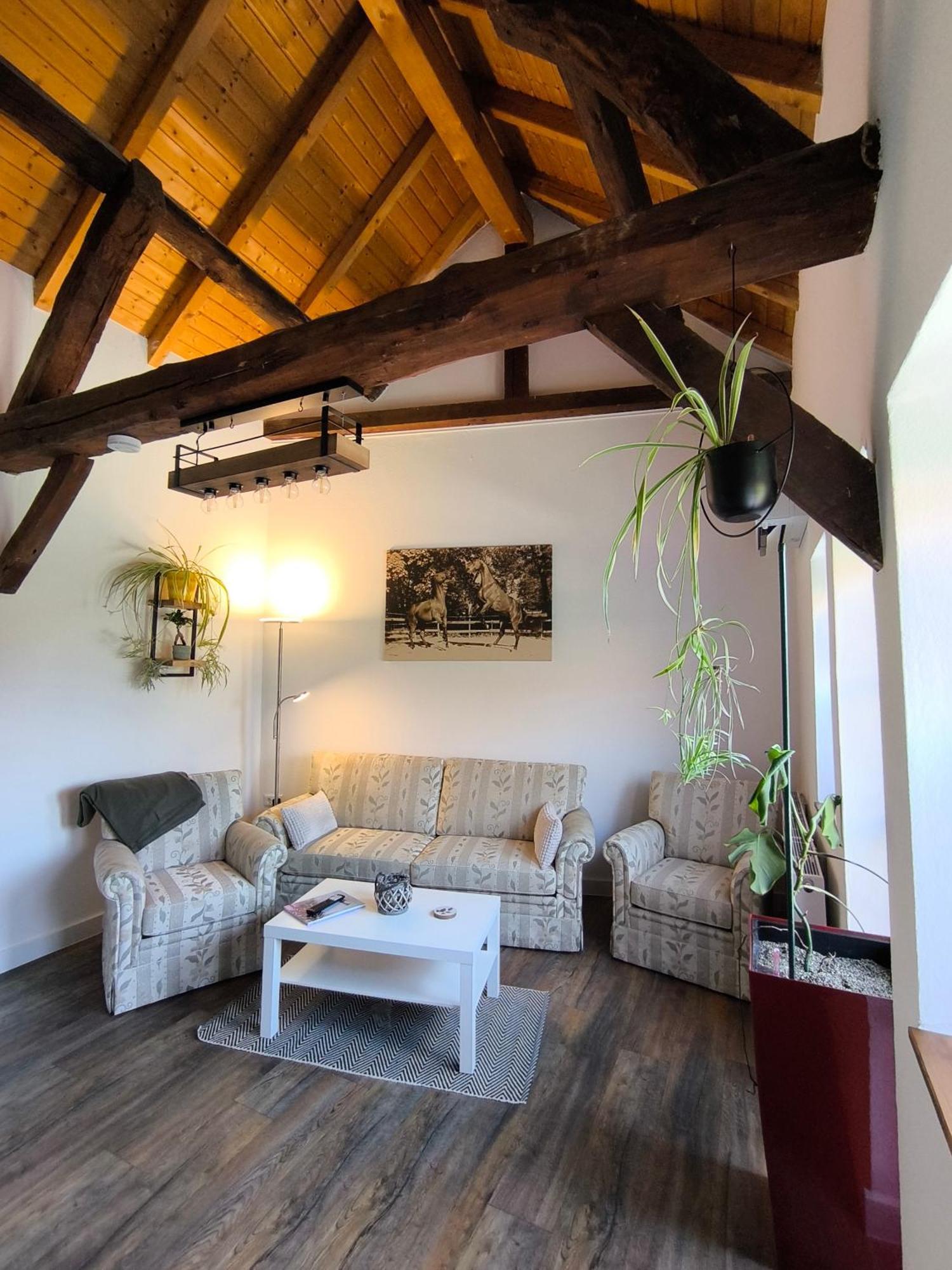 Apartment Antweiler Oberburg Mechernich